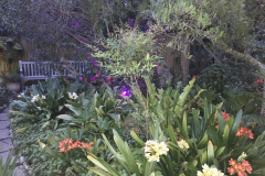 garden-with-lights-2