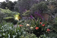 garden-with-lights
